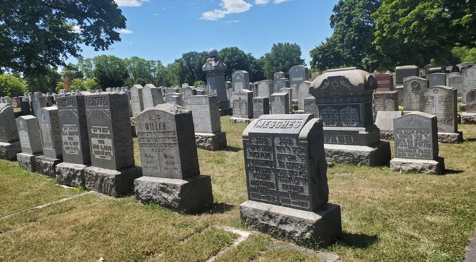 Rows of headstones in a Buffalo Jewish cemetery